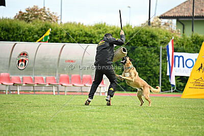 D&C's Captain Fizzgig