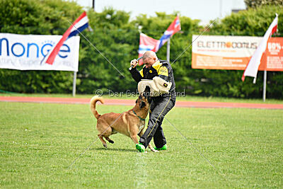 D&C's Captain Fizzgig