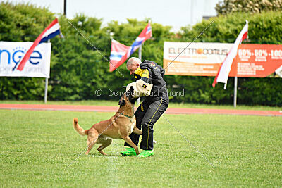 D&C's Captain Fizzgig