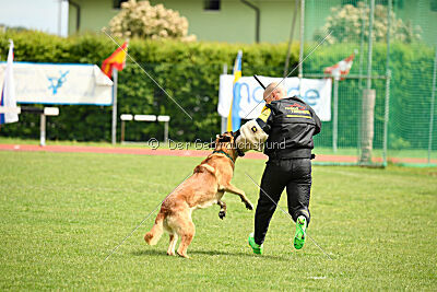 D&C's Captain Fizzgig