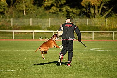 DJ von der Kleinen Hexe