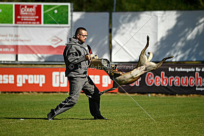 Da Liah Primus Proeliator