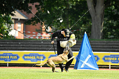 Da Liah Primus Proeliator