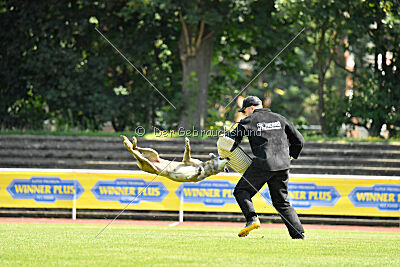 Da Liah Primus Proeliator