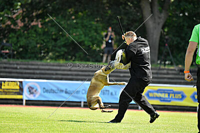 Da Liah Primus Proeliator