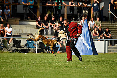 Da Liah Primus Proeliator