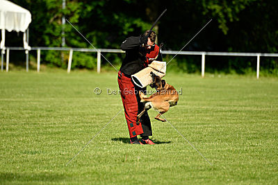 Da Liah Primus Proeliator