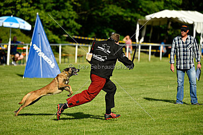 Da Liah Primus Proeliator