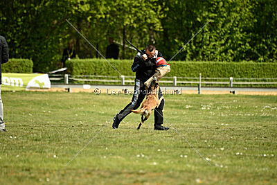 Da Liah Primus Proeliator