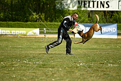 Da Liah Primus Proeliator