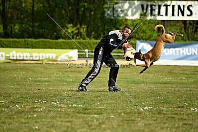 Da Liah Primus Proeliator