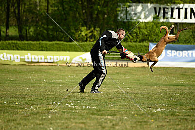 Da Liah Primus Proeliator