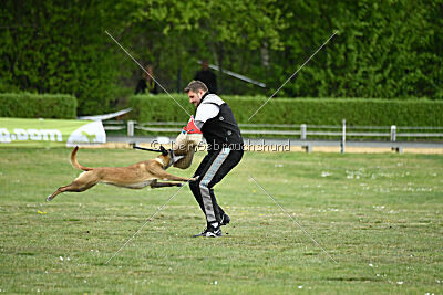 Da Liah Primus Proeliator