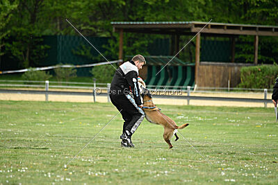 Da Liah Primus Proeliator