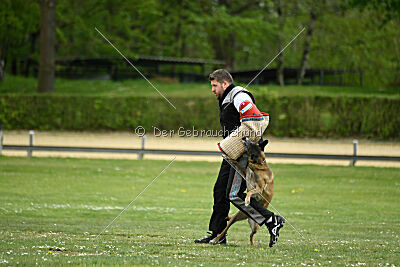 Da Liah Primus Proeliator