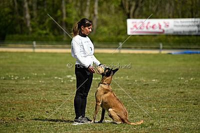 Da Liah Primus Proeliator