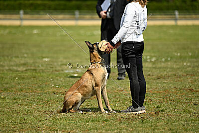 Da Liah Primus Proeliator