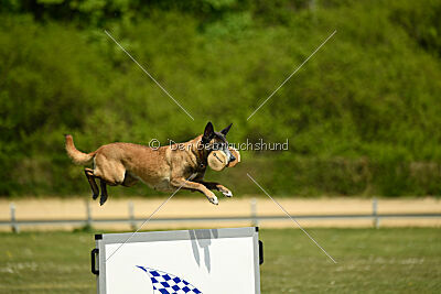 Da Liah Primus Proeliator