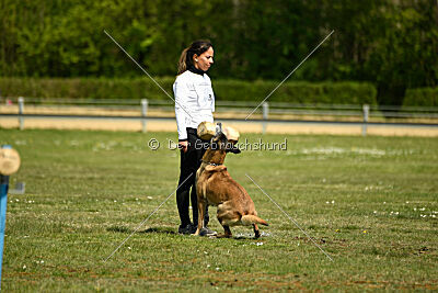 Da Liah Primus Proeliator