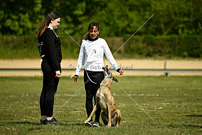 Da Liah Primus Proeliator