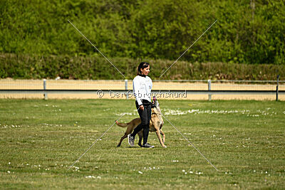 Da Liah Primus Proeliator