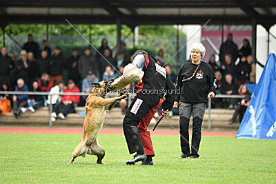 Daika von der schwarzen Mamba