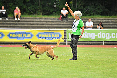 Daika von der schwarzen Mamba