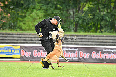 Daika von der schwarzen Mamba