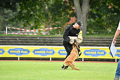 Daika von der schwarzen Mamba