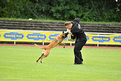 Daika von der schwarzen Mamba