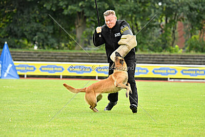 Daika von der schwarzen Mamba
