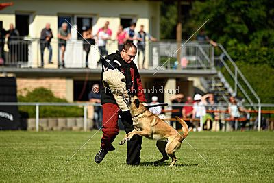Daiquiri vom Hirtengarten