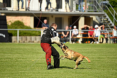 Daiquiri vom Hirtengarten