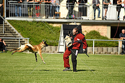 Daiquiri vom Hirtengarten