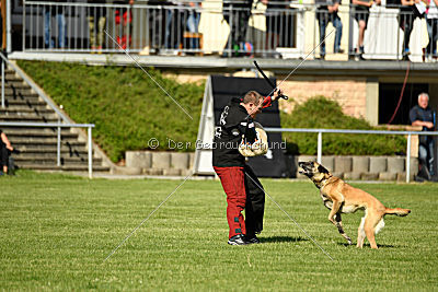 Daiquiri vom Hirtengarten