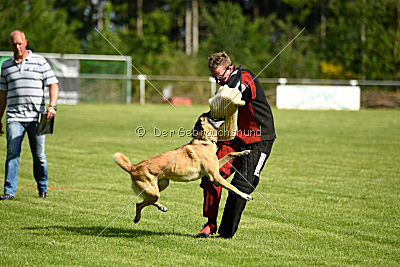 Daiquiri vom Hirtengarten