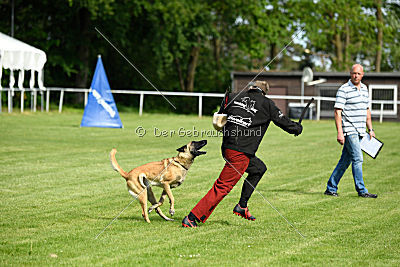 Daiquiri vom Hirtengarten