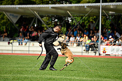 Daiquiri vom Hirtengarten