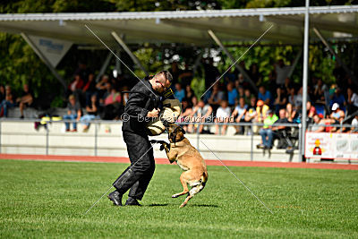 Daiquiri vom Hirtengarten