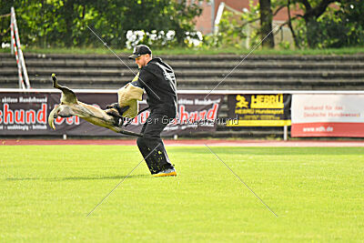 Daiquiri vom Mittelpunkt