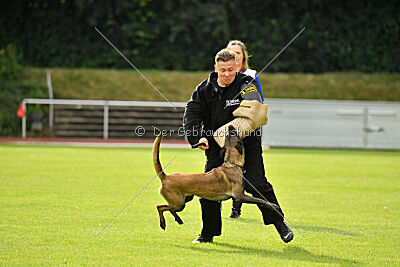 Daiquiri vom Mittelpunkt