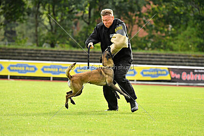 Daiquiri vom Mittelpunkt