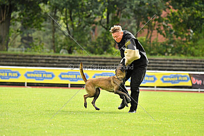 Daiquiri vom Mittelpunkt