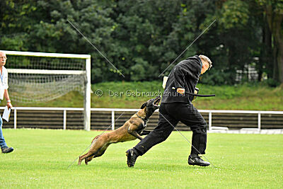 Daiquiri vom Mittelpunkt