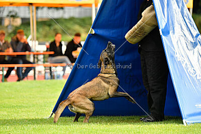 Daiquiri vom Mittelpunkt