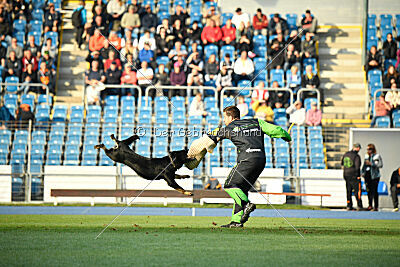 Dana von der Wittelsburg