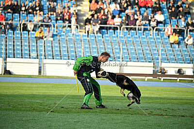 Dana von der Wittelsburg