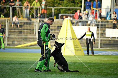 Dana von der Wittelsburg