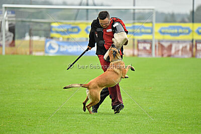Danny von den Mecklenburger Rüpeln