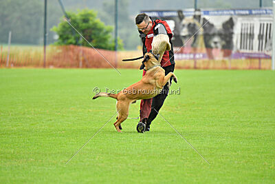 Danny von den Mecklenburger Rüpeln